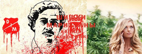 стаф Абаза