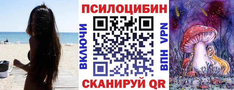Псилоцибиновые грибы мицелий  Астрахань 