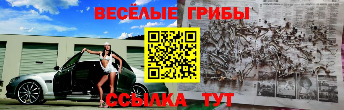 Галлюциногенные грибы Cubensis  Вход с VPN  Астрахань 
